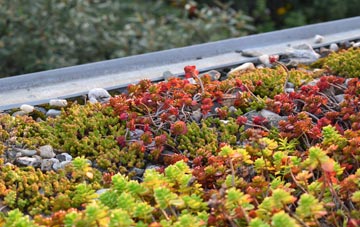 the cost of Gover Hill green roof installation