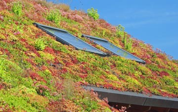 Gover Hill living roof systems